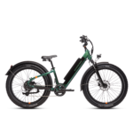 Side view of a green RadRover 6 Plus step-thru electric fat tire bike